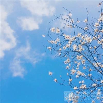 天下彩网站手机app下载