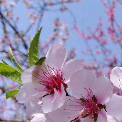 爱游戏app官方网站